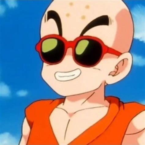 krillin sunglasses|krillin turtle school.